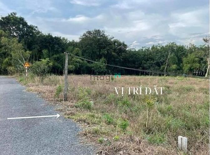 Úp sọt 3 lô gần chợ bến sỏi Dt 5 x 31 thổ cư full Giá lẻ 220/lô