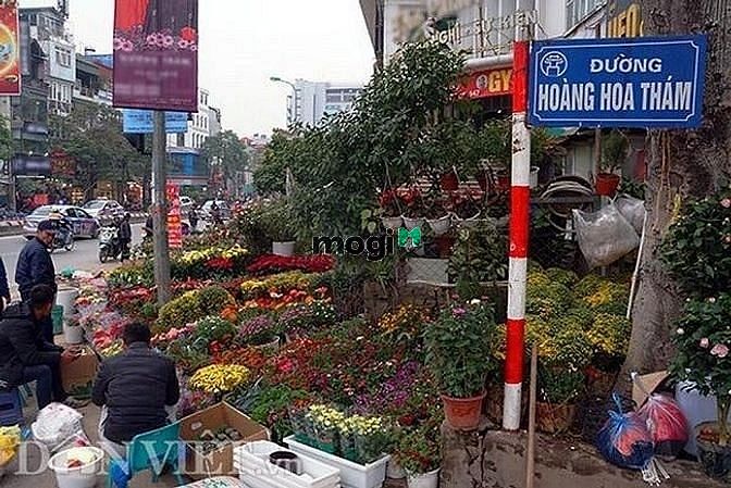Cần Bán Gấp Đất Mặt Phố Víp Hoàng hoa Thám 200 Triệu/m2 DT 300