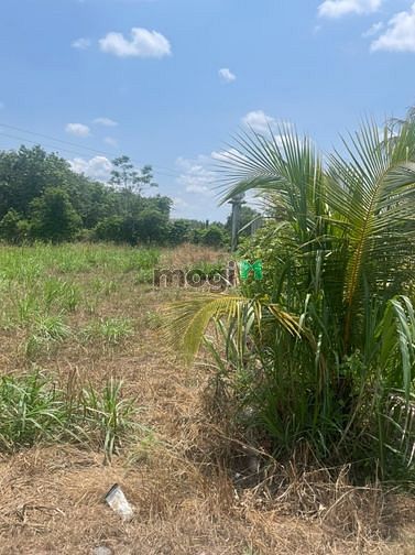 CHÍNH CHỦ - NHƯỢNG GẤP ĐẤT TÂN THÀNH, Bắc Tân Uyên, Bình Dương