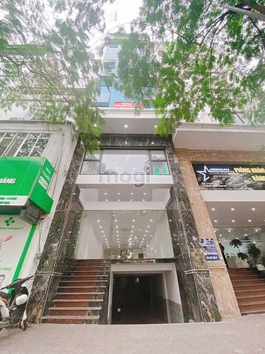 Quá hiếm. Nhà liền kề phố Nguyễn Tuân DT 110m2 x4T + 1 hầm, MT 7m.48t