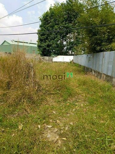 Chủ Kẹt Tiền Cần Bán Gấp Lô Đất Ngay Mặt Tiền Đường Trần Thị Tuồng