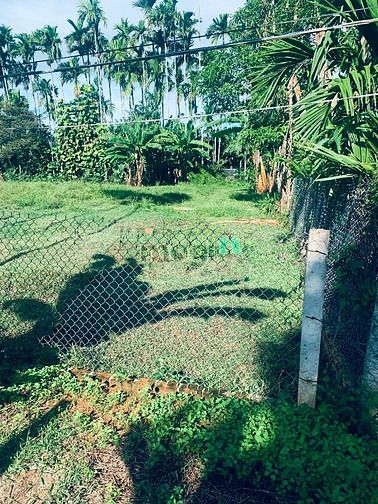 Hàng siêu đầu tư: 5x30:hậu 5,1m: Mộ Đức, Quảng Ngãi, giá chỉ 2xxtr