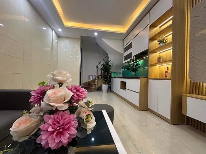 ?Tân Mai - ngõ thông - 28m x 5 tầng full nội thất - 4,6 tỷ.