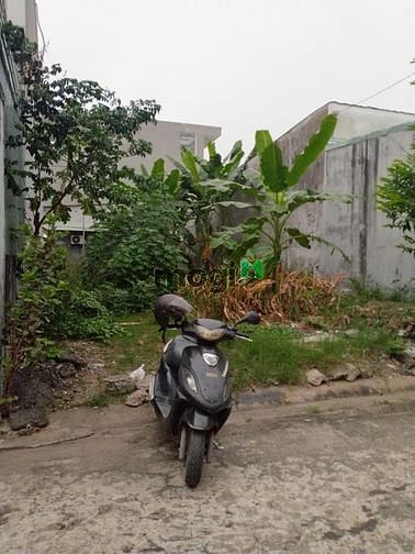 Miếng đất đang cho anh họ thuê trồng chuối cần bán gấp ở Bùi Văn Hòa.