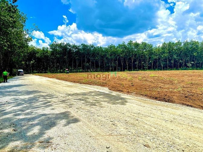 Kẹt tiền xây nhà nên tôi bán gấp lô đất 1200 SAU CHỢ GIÁ 195TR