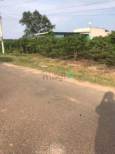 Thua chứng khoán bán gấp đất 14x51 x100tc trà vong tân biên Lh:X.Mai