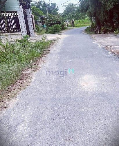 Chủ Thở Ôxi Cần Bán Đất Gấp Ấp Phước Hoà Xã Phước Thạnh H Gò Dầu TNinh