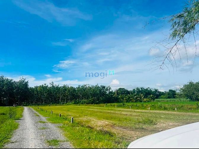 ??Ấp Rộc A- Gò Dầu- Tây Ninh  Duy nhất 1 lô rẻ, đẹp, giá tốt:   ?