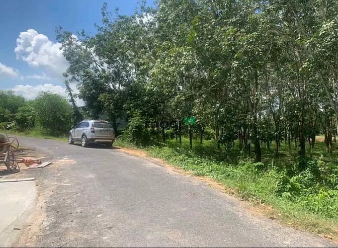Chủ ngộp cần bán gấp đất mt H.Hòa Thành Tây Ninh Dt : 5x32m giá:135tr