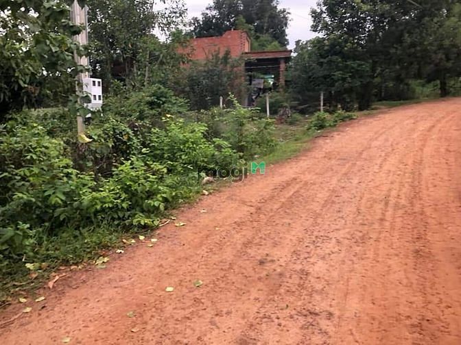 tân phong - tân biên. Hiện trạng - Đường sỏi đỏ ( huy hoạch 20m.) Dt..