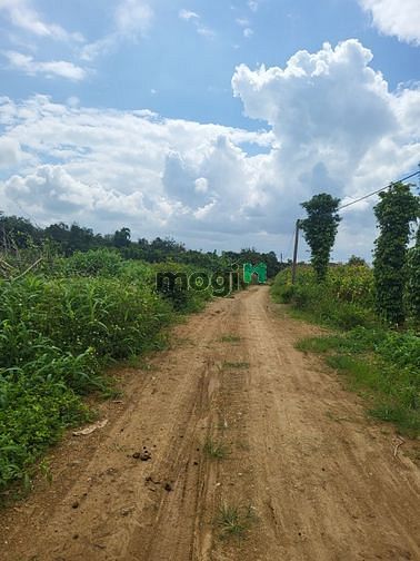 Cần bán đất thổ cư tại Quỳnh ngọc 1 giá tốt cho nhà đầu tư 40tr 1m