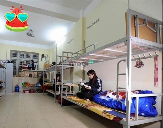 Ở ghép máy lạnh giường tầng chỉ từ 700k dành cho sinh viên Phú Nhuận