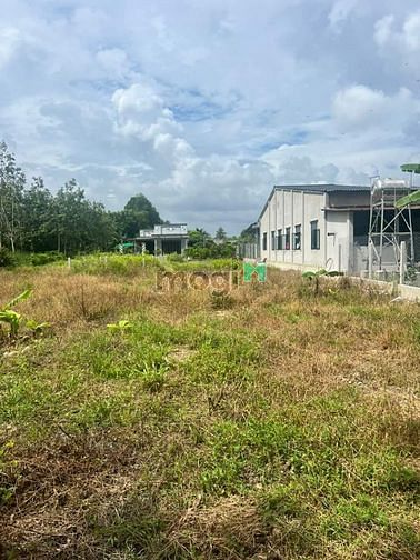 Giá rẻ như cho chỉ 260tr sở hữu ngay Đất Gò Dầu Tây Ninh dt:150m2 tc