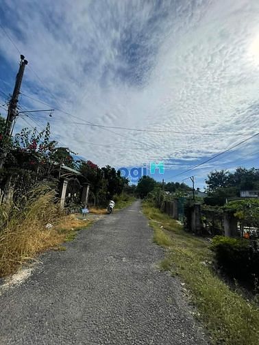 ĐẤT CÁCH TRƯỜNG NGUYỄN THỊ MINH KHAI 200m ! * Ấp Đồng Cỏ Đỏ, xã Bình M