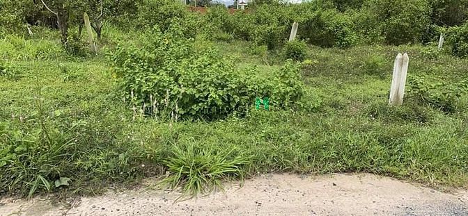 Chủ ngộp hạ giá cần bán gấp đất mt đường bê tông H.Dương Minh Châu TN