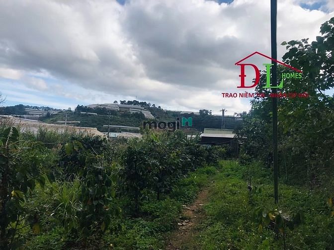 Bán đất  hai mặt tiền Cam Ly phường 7 Đà Lạt view thung lũng cực đẹp