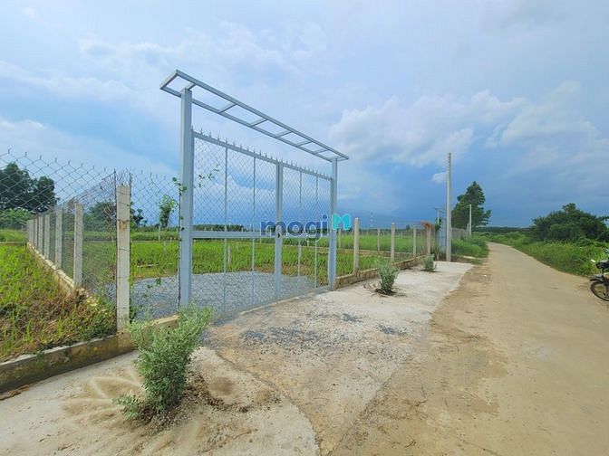 Đất bán 1000m2 giá 4,5tr/m2 có 200m2 thổ cư Xã Bình Lợi giá tốt đầu tư