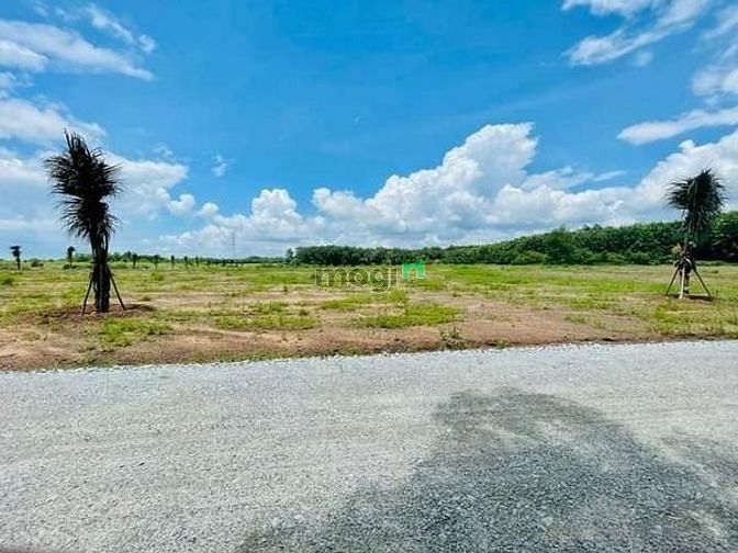 Sang ngay lô đất 2000m2 ở thị xã, dân cư đông, giá 260 triệu