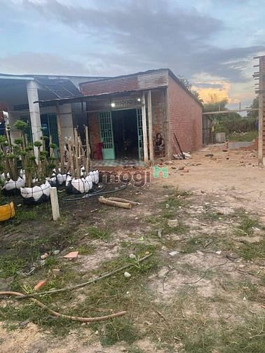 Chủ ngộp cần bán gấp 4×46 full Thổ cư Thuộc Thành Long Châu Thành SHR