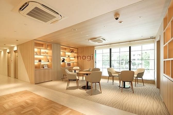 Top 7+ MBKD diện tích lên đến 1000m2, hợp mở SHOWROOM tại các điểm TT