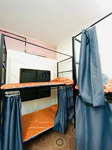 Cho thuê homestay Phạm Tuấn Tài