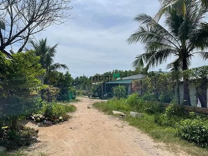 CHÌU CHÌU bán đất Trường Tây Hòa Thành Tây Ninh 174m²