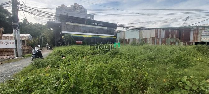Cho thuê đất 2 mặt tiền phường An Phú, DT 20x24, Giá chỉ 77Tr