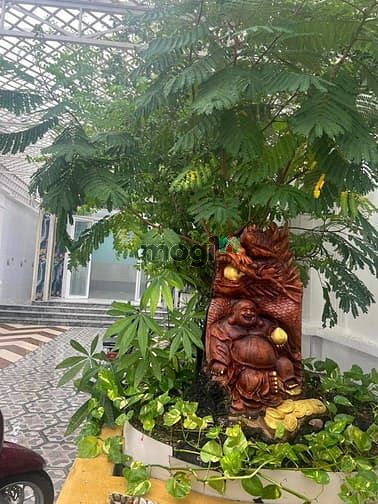 Biệt Thự Mới 336m2 Hẻm Xe Tải - Gần Chợ Hóc Môn - Giá Chỉ 21tr/m2