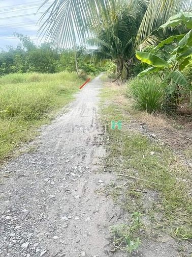 450 triệu Gò Dầu Tây Ninh cách cổng CHÍNH KCN 1 km Ngang 5 *33m full t