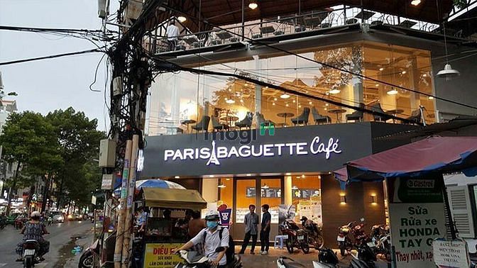 Cho thuê nhà đường CẦU GIẤY 250m2, 35m mặt tiền