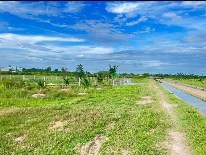 Cuối năm gom tiên mua đất lm của H.Châu Thành Tây Ninh Cách nhựa lớn 5