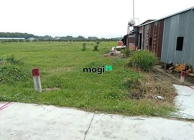 Bán gấp lô đất đường Phước Tây, Tiên Thuận, huyện Bến Cầu, Tây Ninh