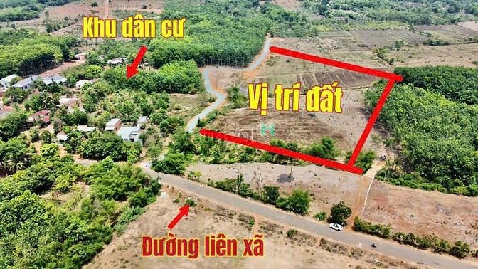 hơn 1000m2 chỉ 290tr chính chủ sổ sẵn công chứng ngay