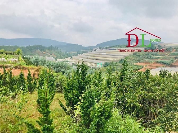 Bán đất nghỉ dưỡng 2 mặt tiền Măng Lin phường 7 Đà Lạt view đồi thông