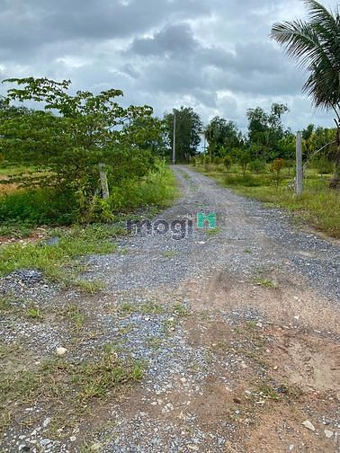 Đất trồng nằm nằm sát khu dân cư, cách Hóc Môn 5km