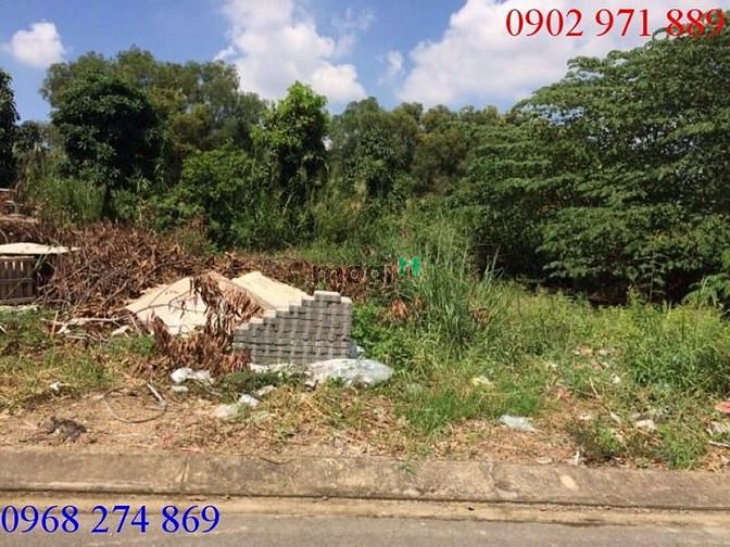 Cho thuê 300m2 đất đường Trần Lựu P An Phú, Q2 với giá 30 triệu / 1th
