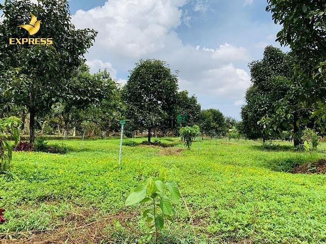 Bán 1400m đất Hiệp Phước Nhà Bè , gần cầu Kênh Lộ quy hoạch khu dân cư