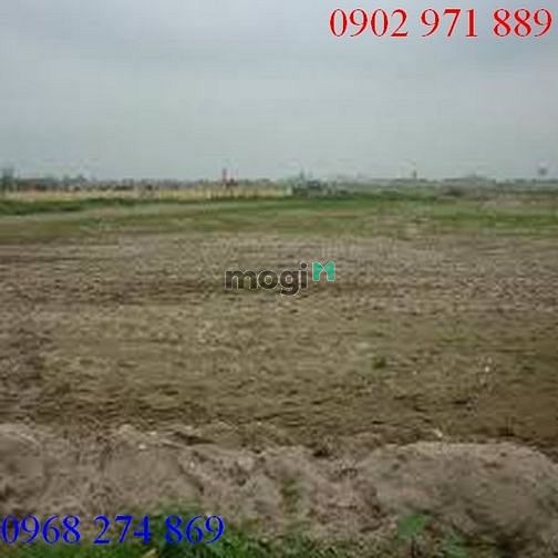 Cần cho thuê gấp đất ở đường Lương Đình Của P.An Phú Quận 2