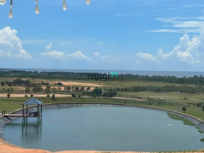 Bán nhanh lô đất view biển hơn 4 sào Tuy Phong, ngay QL1A làm farmstay