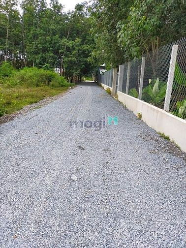 ? CHỦ NGỘP BANK DT 5 x 38 full thổ cư tại H.Gò Dầu Tây Ninh giá 295tr