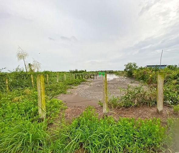 Cần Tiền Bán Gấp Lô Đất Vườn 1600M2 XÃ BÌNH KHÁNH HUYÊN CẦN GIỜ.