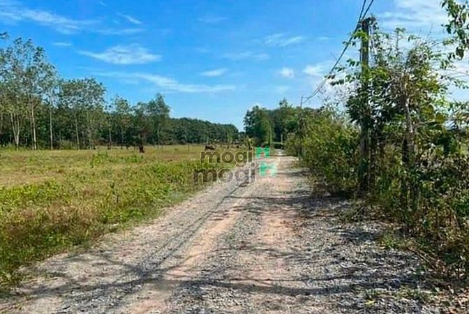 Giảm ngay 50tr : 2 lô đường ấp A1 Dương Minh Châu , Tây Nonh Giá:270tr