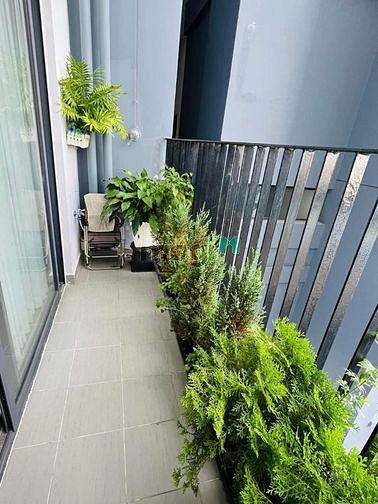 Cho thuê căn Officetel có Duplex Chung cư M-one Q7 giá 11tr/tháng full