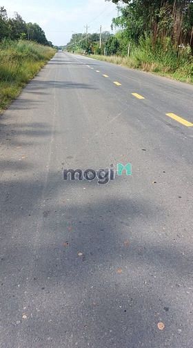 Cần Bán Gấp 2154 (36x59) Đất Mt Dt744, Định An, Dầu Tiếng, Bình Dương