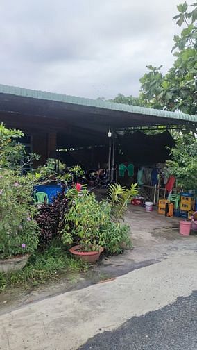 Chỉ với 249TR đã sở hữu được lô đất 5x28m (50m2 Thổ Cư) đường Nhựa, m