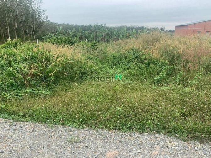 ☘Gò Dầu - Tây Ninh  ⚡GIÁ 395tr ( bao sổ) lô đất diện tích 8 x 14m ( fu