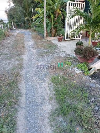 Bán lỗ 185tr đất Tân Biên Tây Ninh 6x46m thổ cư 60m2 Mặt tiền nhựa SHR