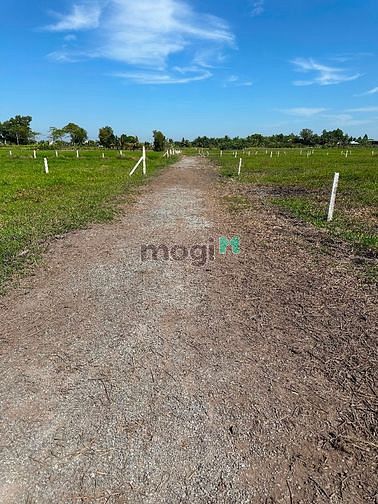 Đất trồng cây, đường xe hơi vào tận nơi, cách Tỉnh Lộ 7 150m tới đất