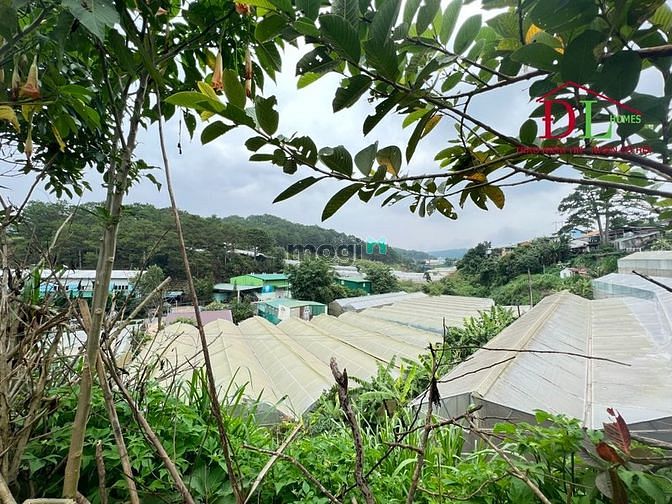 Bán đất mặt tiền Hoàng Văn Thụ phường 4 Đà Lạt tiện kinh doanh MN3263