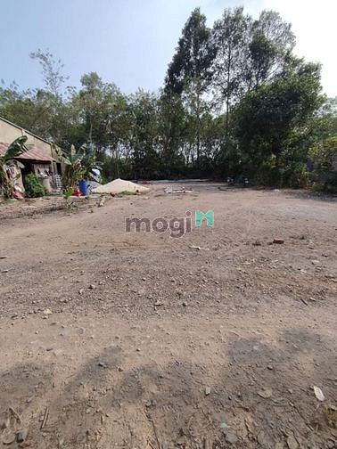 Sở hữu ngay lô đất thổ cư tại Cẩm Giang- Gò Dầu- tỉnh Tây Ninh. Diện t